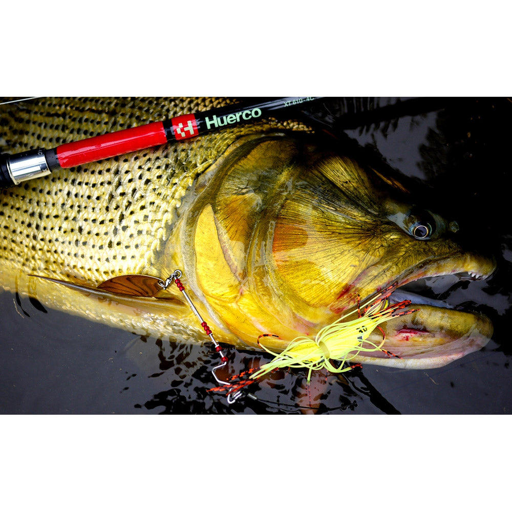 17_2c2230cf-66e1-41a6-bb2d-